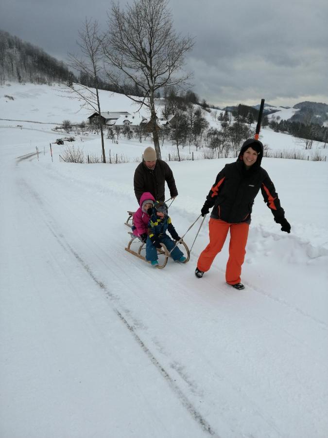 Urlaub Am Bauernhof Hoebarten Sankt Anton an der Jessnitz 外观 照片